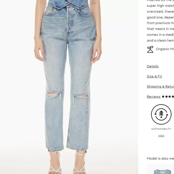 Denim Forum Joni High Rise Loose Jean - Picture 2 of 5